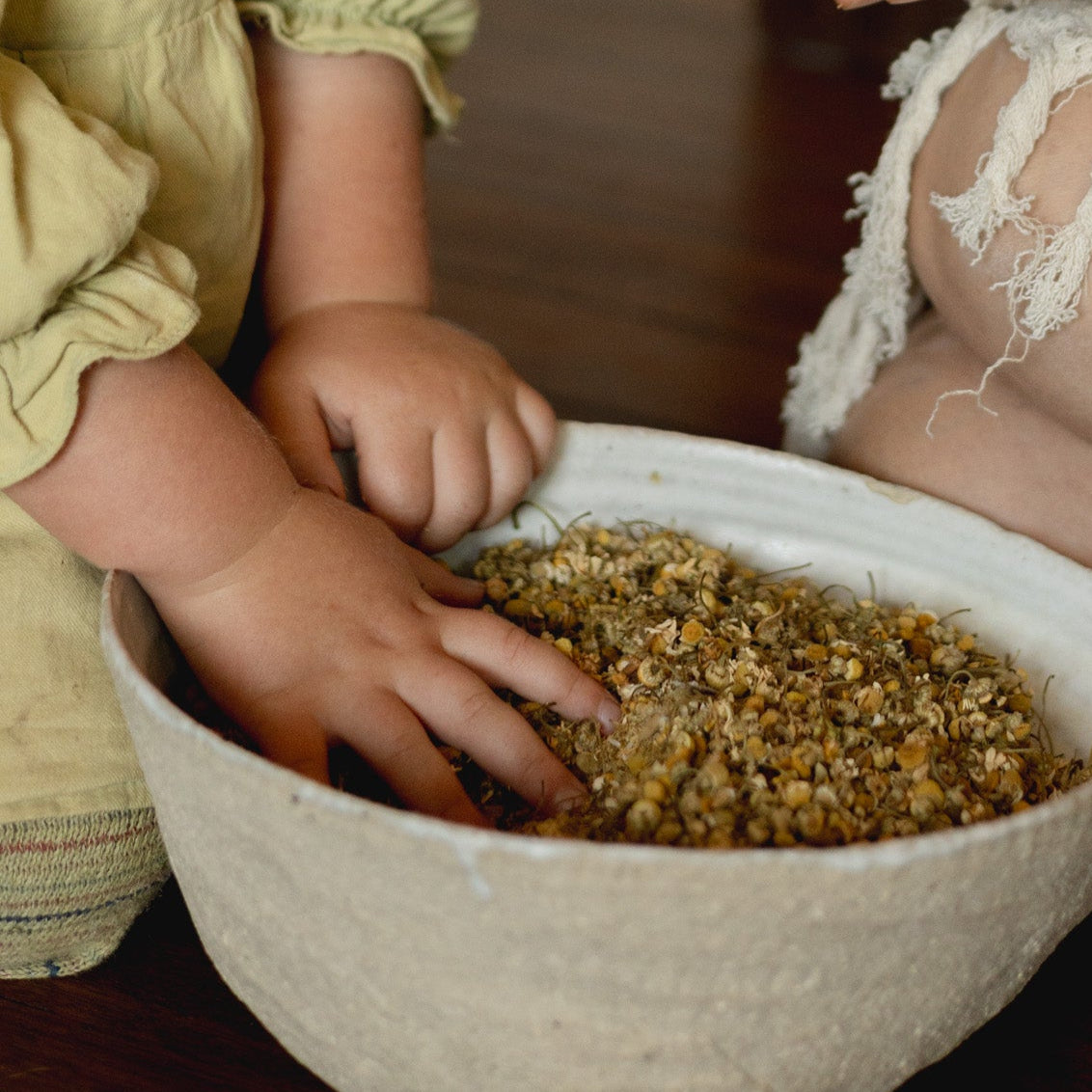 Two people interacting with a bowl of seeds and a jar, possibly in an educational or exploratory setting.