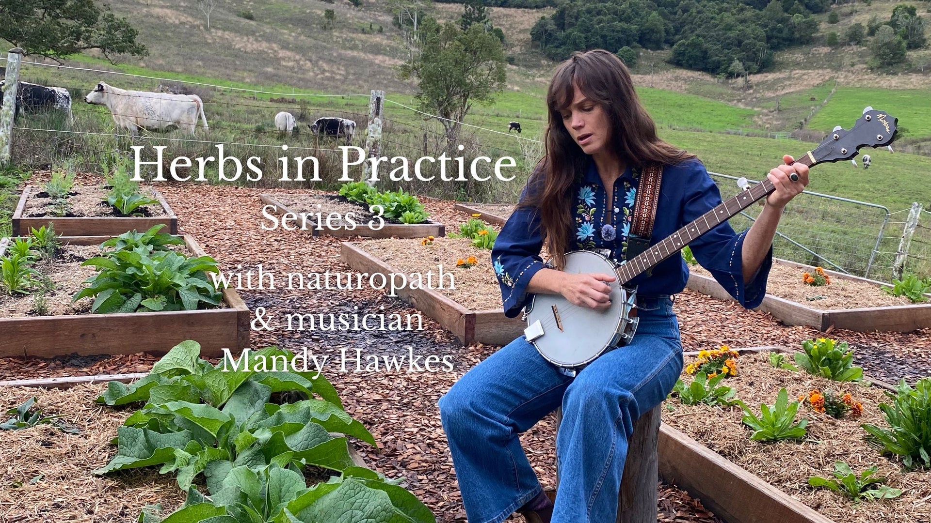 Comfrey by Naturopath & Musician Mandy Hawkes