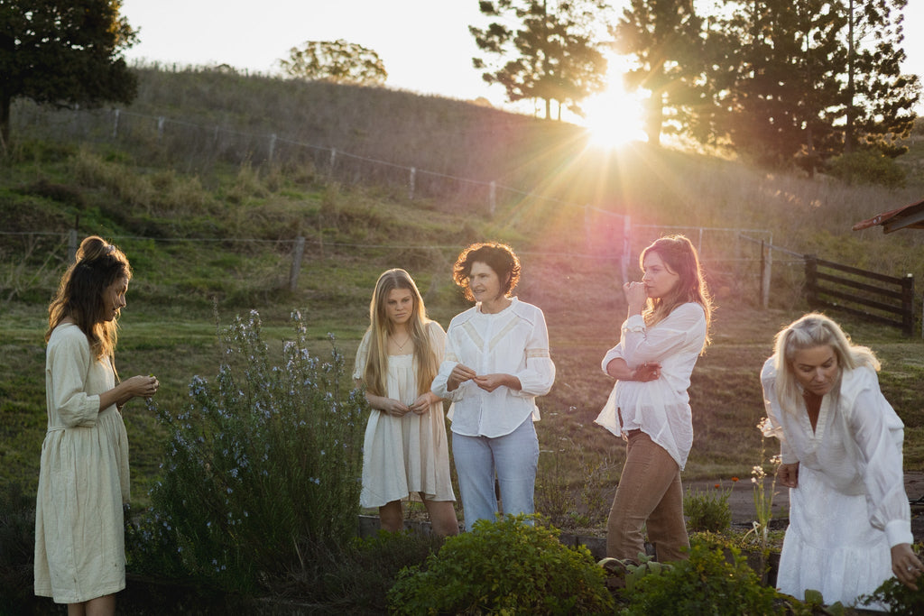 What House of Herbs Is Really About