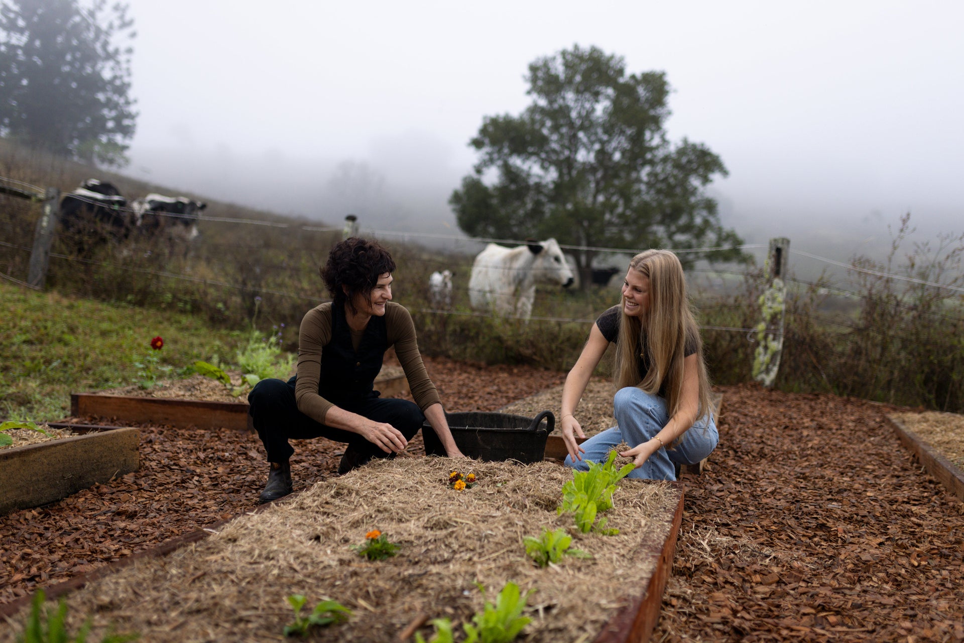 Where It Begins: The House of Herbs Garden Project