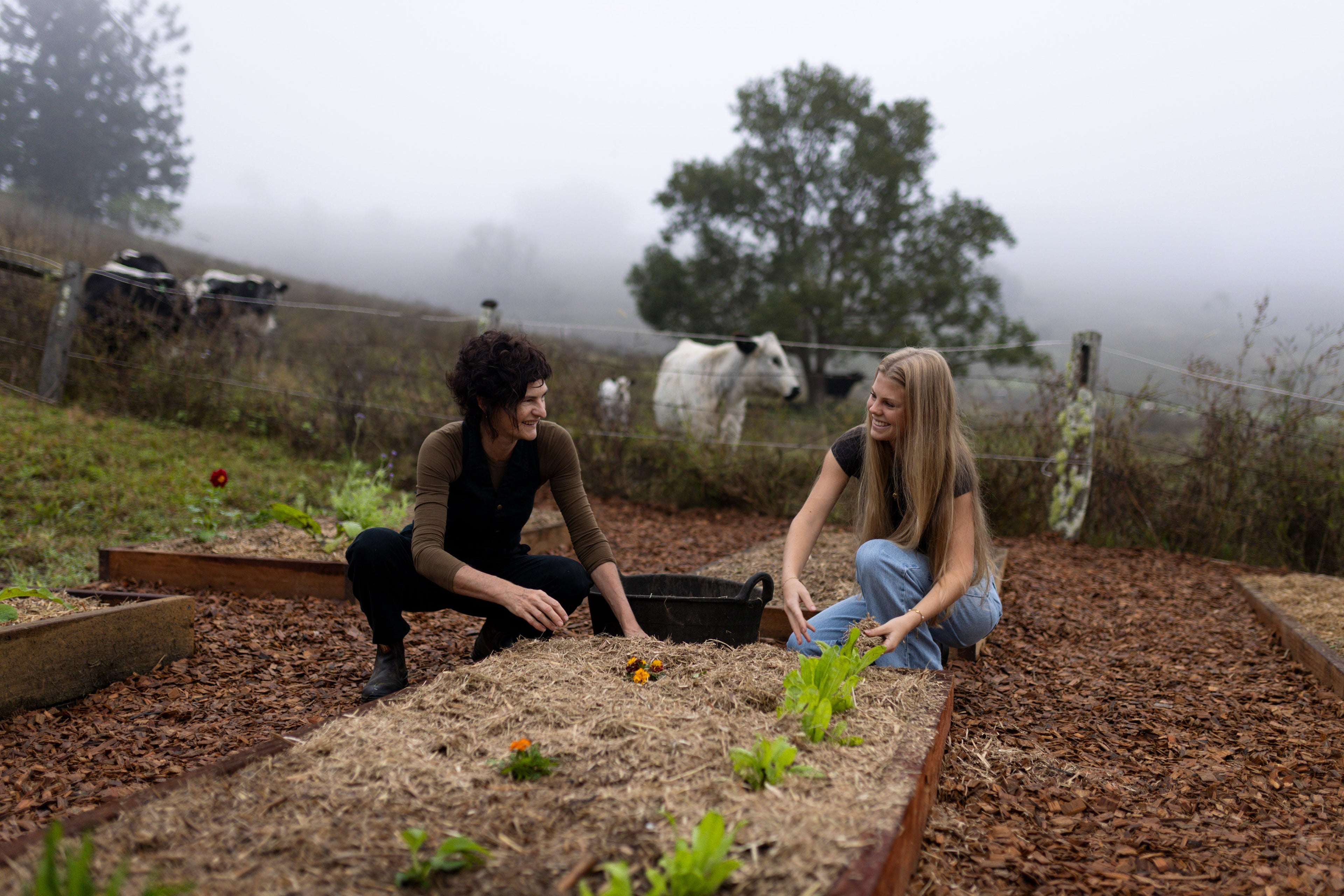 Where It Begins: The House of Herbs Garden Project
