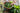 Herbs, Soil & the Bigger Farm Picture