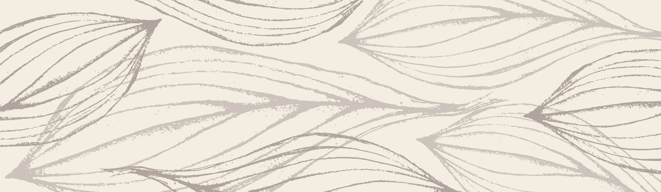 Bundles & Gift Packs