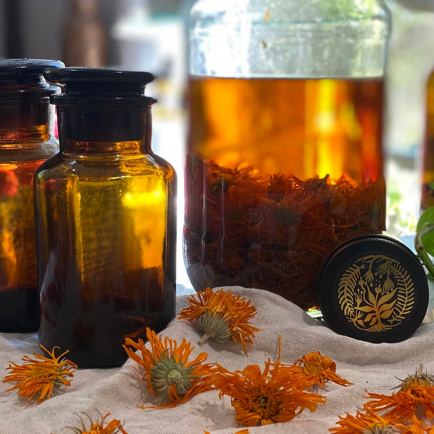Infused Organic Calendula Oil