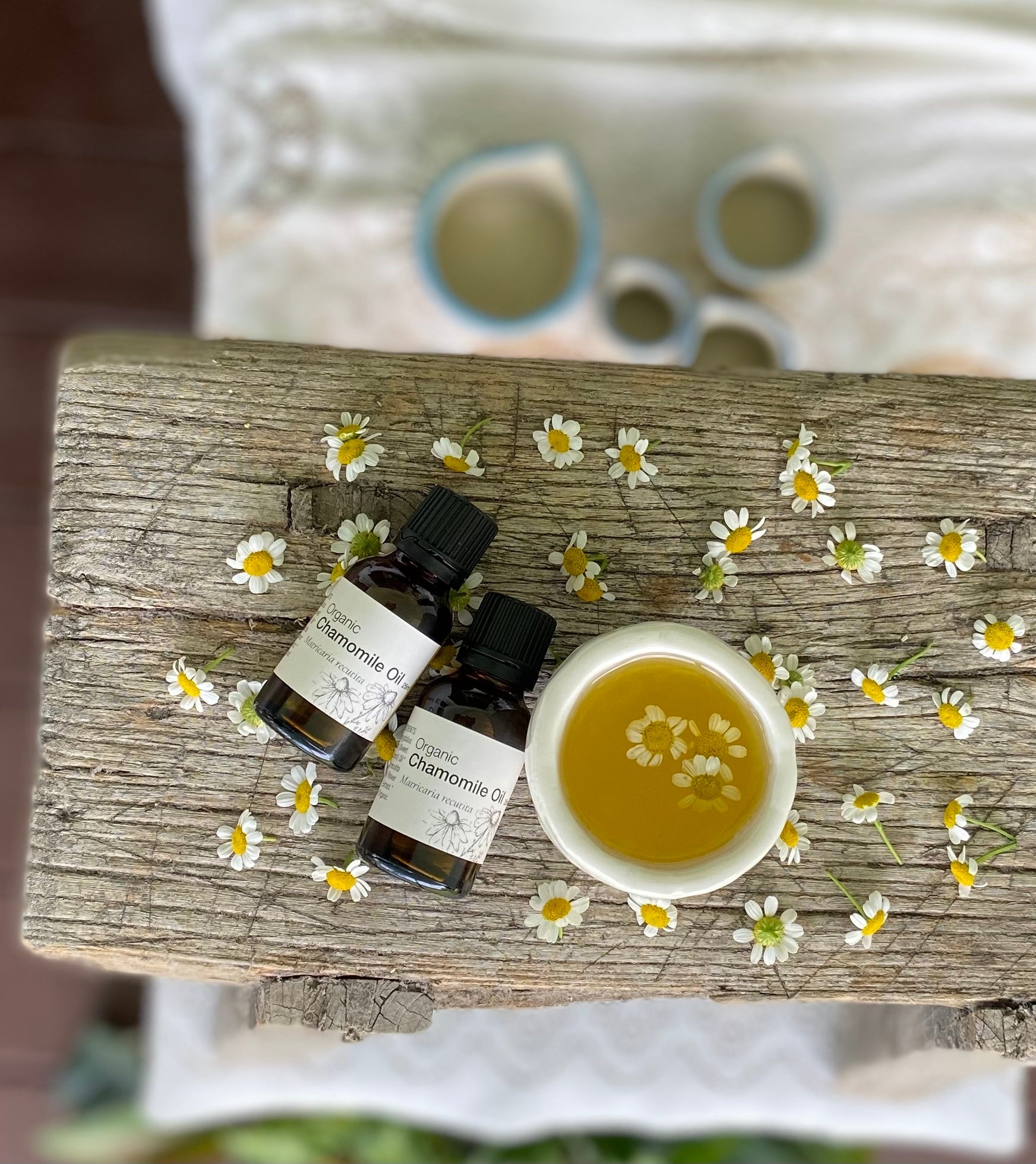 Infused Organic Chamomile Oil