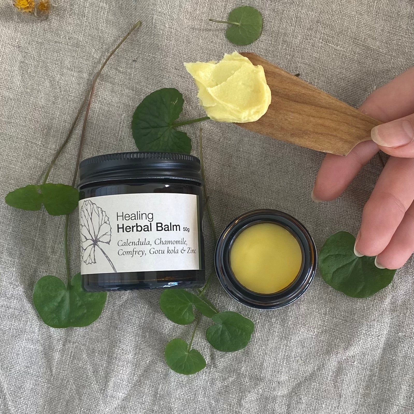 Herbal healing balm open with balm on a wooden knife, on a linen cloth with gotu kola leaves