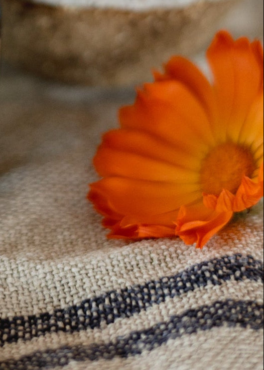Organic Calendula Balm