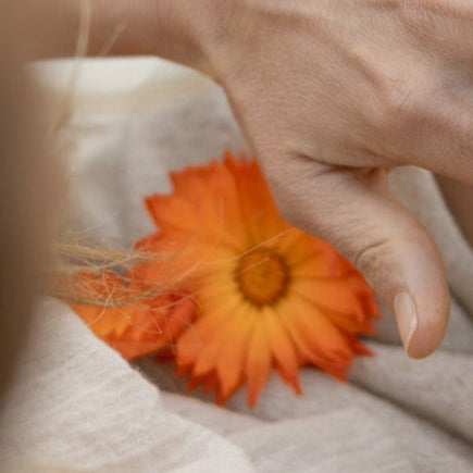 Organic Calendula Lip Balm