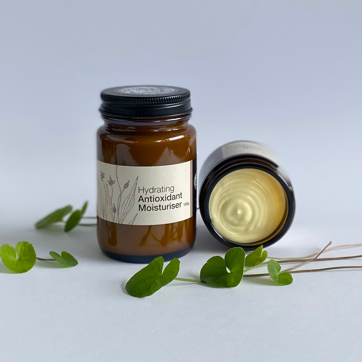 Jar of hydrating antioxidant moisturizer with a lid off, surrounded by green leaves on a light background