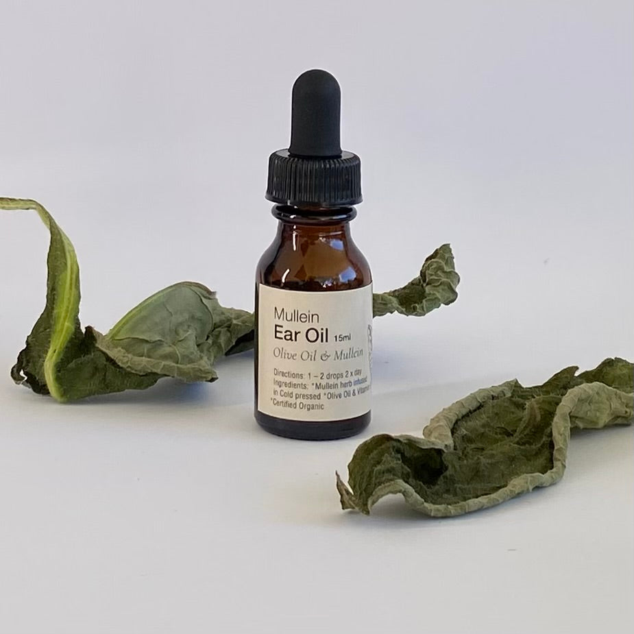 Bottle of Mullein Ear Oil with dried mullein leaves on a white background