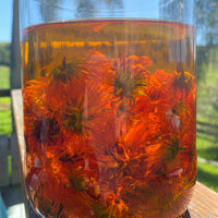 Organic Calendula Lip Balm